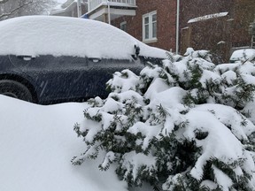 As the snowstorm battered Ottawa on Monday, officials advised motorists to clear the snow off their cars - and avoid driving for non-essential reasons.