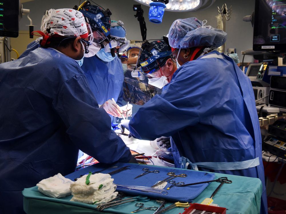 A team conducts a successful transplant of a genetically modified pig heart into David Bennett, a 57-year-old patient with terminal heart disease, at University of Maryland Medical Center in Baltimore on Jan. 7.