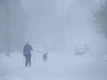 OTTAWA - Jan 17 2022  Kylie Scoggan and her dog Hudson out for a ski Monday.