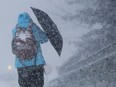 Monday's storm has been described using a blizzard of vague words.