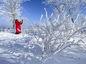 OTTAWA -- Minoo Banaei photographs the frost covered trees on Bate Island on Friday, Jan. 21, 2022 -- . ERROL MCGIHON, Postmedia