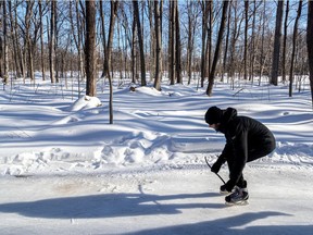 Verger Labonté has created a skating path through its apple orchard and the neighbouring wood in Notre-Dame-de-l’Île-Perrot.