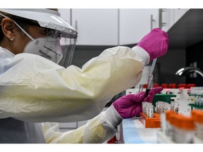 A lab technician sorts blood samples during the early wave of COVID in 2020.