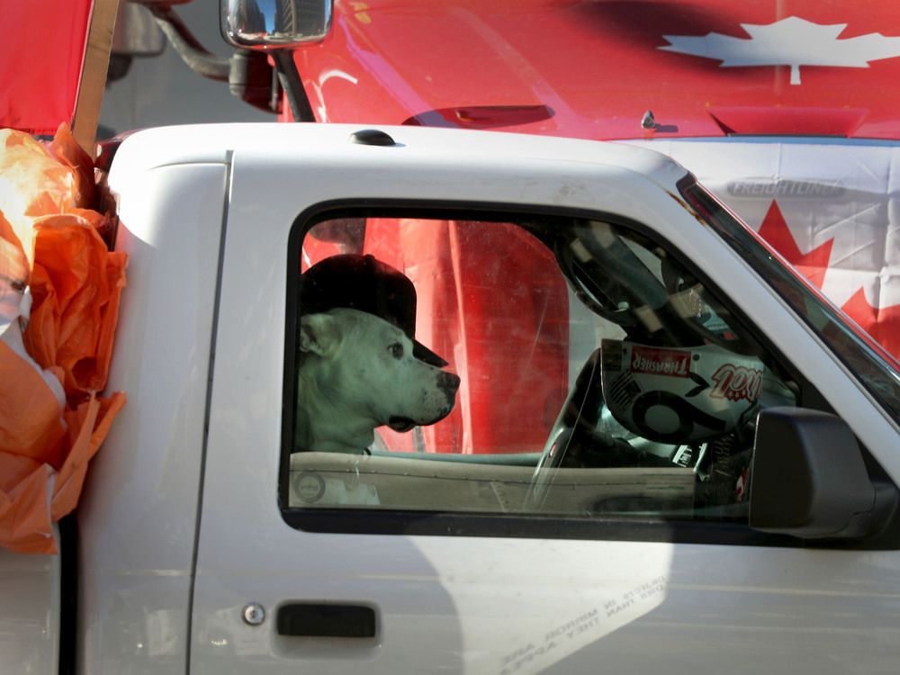 Truckers occupation and protesting continues its 18th day in downtown Ottawa, Monday afternoon.