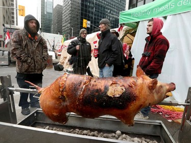 OTTAWA - Feb 16, 2022 - Truckers occupation and protesting continues its 20th day in downtown Ottawa Wednesday morning. Cooking a pig on Kent Street Wednesday.
