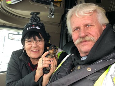 Saskatchewan trucker Jake Klassen and wife Lynnette Klassen welcomed five puppies, born in their truck Feb. 5 while parked at Kent and Gloucester in downtown Ottawa for the Freedom Convoy.