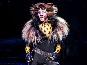 Zach Bravo as Rum Tum Tugger. The touring production of the Broadway musical Cats is returning to the National Arts Centre March 14-16, picking up where it left off two years ago when the COVID-19 pandemic began.