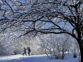OTTAWA -- A man and woman enjoy the scenery in Hog's Back Park following a fresh snowfall on Tuesday, Mar. 8, 2022