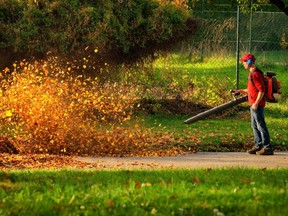 Man operating a powerful leaf blower.