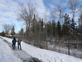 Die Schulbehörde des Bezirks Ottawa-Carleton behauptet, dass der Baumfällplan „die Lern- und Spielbedürfnisse unserer Schüler unterstützen wird, was für ihr körperliches und kognitives Wachstum so wichtig ist“.