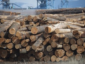 Softwood lumber is a major export. At what cost to the environment?
