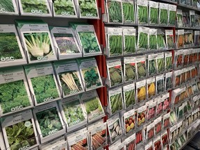 The seed racks hold a promise of spring planting for home gardeners.