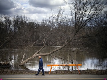 A man walks by a barrier that had been recently placed between the Rideau River's edge and the nearby paved pathway.