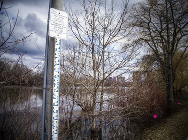 A spring freshet monitoring stage gauge was placed along the Rideau River. It bears directions to go online to ottawa.ca, the City of Ottawa website, for more flood-related information.