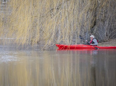 A paddler pushes off from shore into the Rideau River on Saturday afternoon.