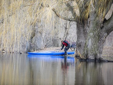 A paddler pushes off from shore into the Rideau River on Saturday afternoon.