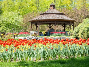 Beechwood Cemetery is not just a final resting place but also a space in which families can gather to continue their remembrance by celebrating birthdays, anniversaries and other milestones.