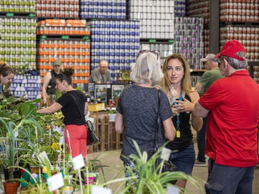 A very successful fundraising plant sale at Broadhead Brewing Company in the city's east end, Sunday, May 15, 2022.