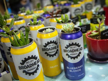 Fundraising plant sale at Broadhead Brewing Company in the city's east end, Sunday, May 15, 2022. Plants in Broadhead Brewery cans.