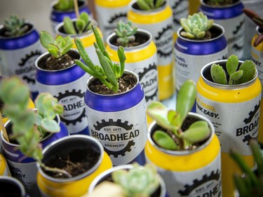 A collection of plants on display at the fundraising plant sale held at Broadhead Brewing Company in the city's east end, Sunday, May 15, 2022.