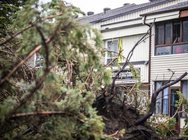 The Stittsville area and many other parts of the Ottawa region were hit by a powerful storm on Saturday, May 21, 2022.  A person peers out the window looking at the large amount of damage at a residence on Carleton Cathcart Street.