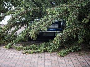 The Stittsville area and many other parts of the Ottawa region were hit by a powerful storm on Saturday, May 21, 2022.