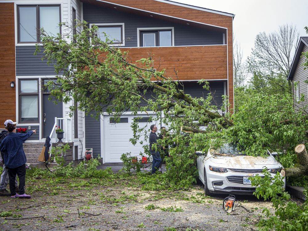 The Stittsville area and many other parts of the Ottawa region were hit hard by a powerful storm on Saturday, May 21, 2022. People in the area off Stittsville's Main Street worked hard as a community to quickly clear streets and clean up fallen trees. 