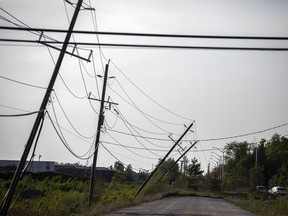 The Stittsville area and many other parts of the Ottawa region were hit by a powerful storm on Saturday, May 21, 2022.Fallen lines were seen along Shea Road Saturday.