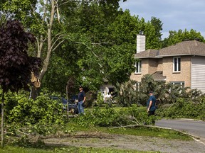 People were out cleaning up some downed trees in the Stittsville area.