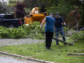 People were out cleaning up some downed trees in the Stittsville area.