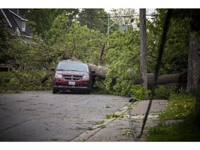Ottawa and the surrounding area was hit with a destructive storm Saturday. Clean up was well underway with hydro, community members and first responders, Sunday, May 22, 2022. A van had a tree smashed overtop, very close to the driver's door, in Carleton Place Sunday.