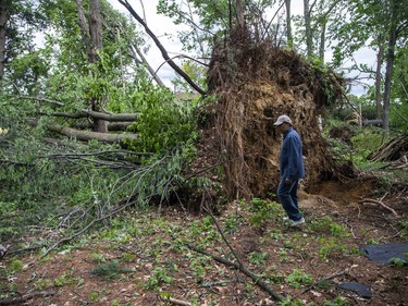 The Pineglen area off of Merivale Road was heavily damaged by Saturday's devastating storm. Hastings Utilities Contracting Ltd., a contractor along with Hydro Ottawa were working on clearing lines in the area and moving the trees and rubble. Jay Doshi showed the trees he lost in his yard, that did large amounts of damage where they fell.