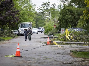 The Pineglen area off of Merivale Road was heavily damaged by Saturday's devastating storm. Hastings Utilities Contracting Ltd., a contractor along with Hydro Ottawa were working on clearing lines in the area and moving the trees and rubble.