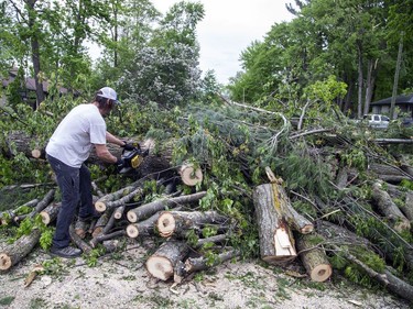 The Pineglen area off of Merivale Road was heavily damaged by Saturday's devastating storm. Hastings Utilities Contracting Ltd., a contractor along with Hydro Ottawa were working on clearing lines in the area and moving the trees and rubble.