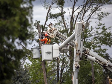 The Pineglen area off of Merivale Road was heavily damaged by Saturday's devastating storm. Hastings Utilities Contracting Ltd., a contractor along with Hydro Ottawa were working on clearing lines in the area and moving the trees and rubble.