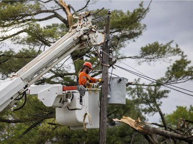 The Pineglen area off of Merivale Road was heavily damaged by Saturday's devastating storm. Hastings Utilities Contracting Ltd., a contractor along with Hydro Ottawa were working on clearing lines in the area and moving the trees and rubble.