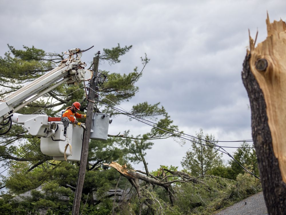 A contractor works alongside Hydro Ottawa to clear up lines and move trees and rubble. 