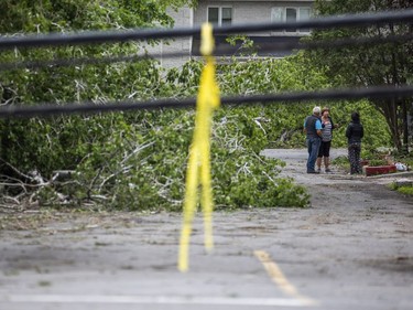 The Pineglen area off of Merivale Road was heavily damaged by Saturday's devastating storm. Hastings Utilities Contracting Ltd., a contractor along with Hydro Ottawa were working on clearing lines in the area and moving the trees and rubble.