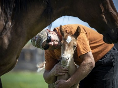 A little light through a dark moment, Matt LaRose checks on the beautiful foal that was born just the storm at the farm in White Lake, Monday, May 23, 2022.