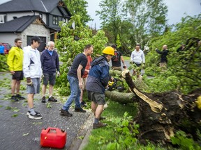 People in the area off Stittsville Main Street worked hard as a community to quickly clear streets and clean up fallen trees.