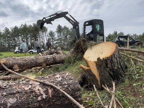Cleanup continues at the Hammond Golf and Country Club after a recent storm felled several hundred mature trees on the course.