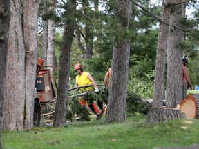 Crews are seen cleaning up the  Ottawa Hunt and Golf Club on May 25, 2022.