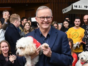 SYDNEY, AUSTRALIA - MAY 22: Prime Minister-elect Anthony Albanese holds his dog Toto as he shares a coffee with friends near his home on May 22, 2022 in Sydney, Australia.