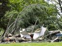 Researchers at Western University say that downbursts that hit Ottawa on May 21 may have hit 190 kilometres per hour. 