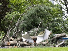 Researchers at Western University say that downbursts that hit Ottawa on May 21 may have hit 190 kilometres per hour.