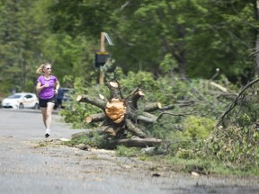 File photo: Storm damage in the Pine Glen neighbourhood Tuesday, May 24, 2022.