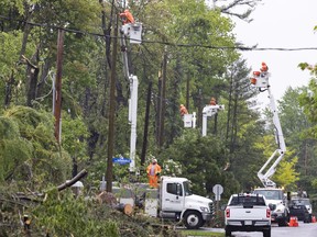 Crews from Hastings Utilities Contracting, based in Pickering, Ontario, installing new hydro poles in the Pine Glen neighbourhood Friday, May. 27, 2022.