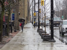 A pedestrian walks  on Elgin Street with an umbrella.