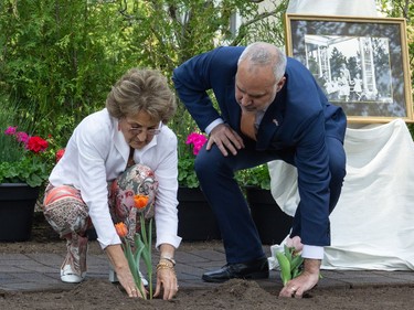 Her Royal Highness, Princess Margriet of the Netherlands, plant a tulip in front of Stornoway, her childhood home, for a ceremonial planting of tulips alongside the CEO of the NCC, Tobi Nussbaum.