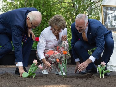 Her Royal Highness, Princess Margriet of the Netherlands, plants a tulip in front of Stornoway, her childhood home, for a ceremonial planting of tulips alongside her husband, Professor Pieter van Vollenhoven and the CEO of the NCC, Tobi Nussbaum.